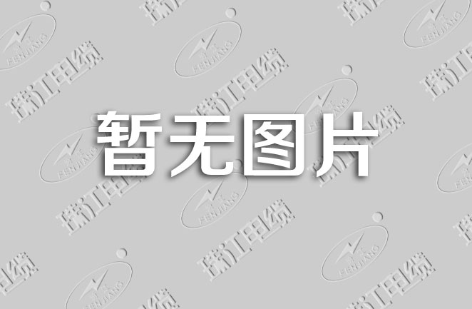 广东省客家商会会长温纯青率队走进常务副会长单位（平博国际体育官网电缆）旅行交流